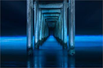 Marlon Holden Fine Art